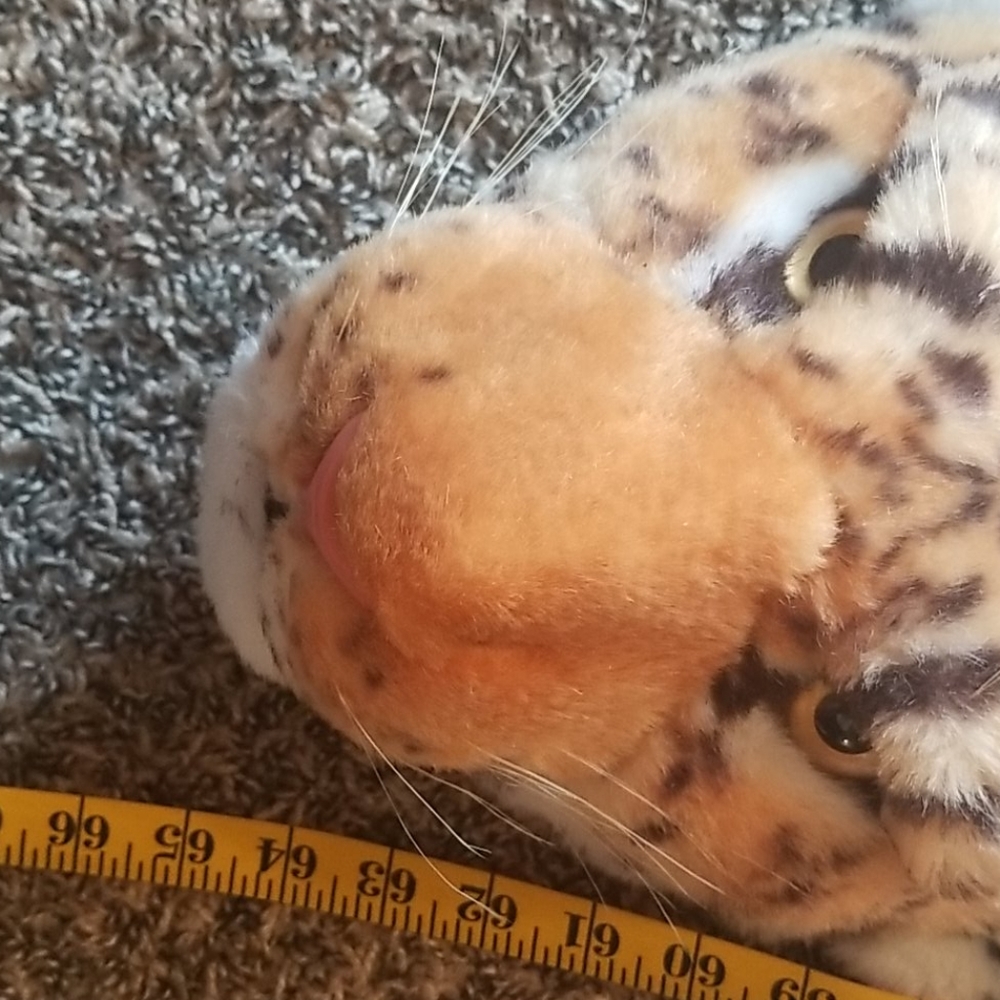 Throw - Picture 4 of 4